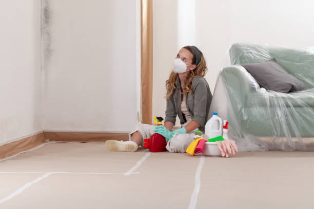 Reliable Bathroom Mold Removal contractor in Chandler, TX by Mold Remediation HQ